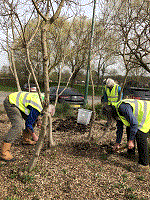 Preparing the Soil